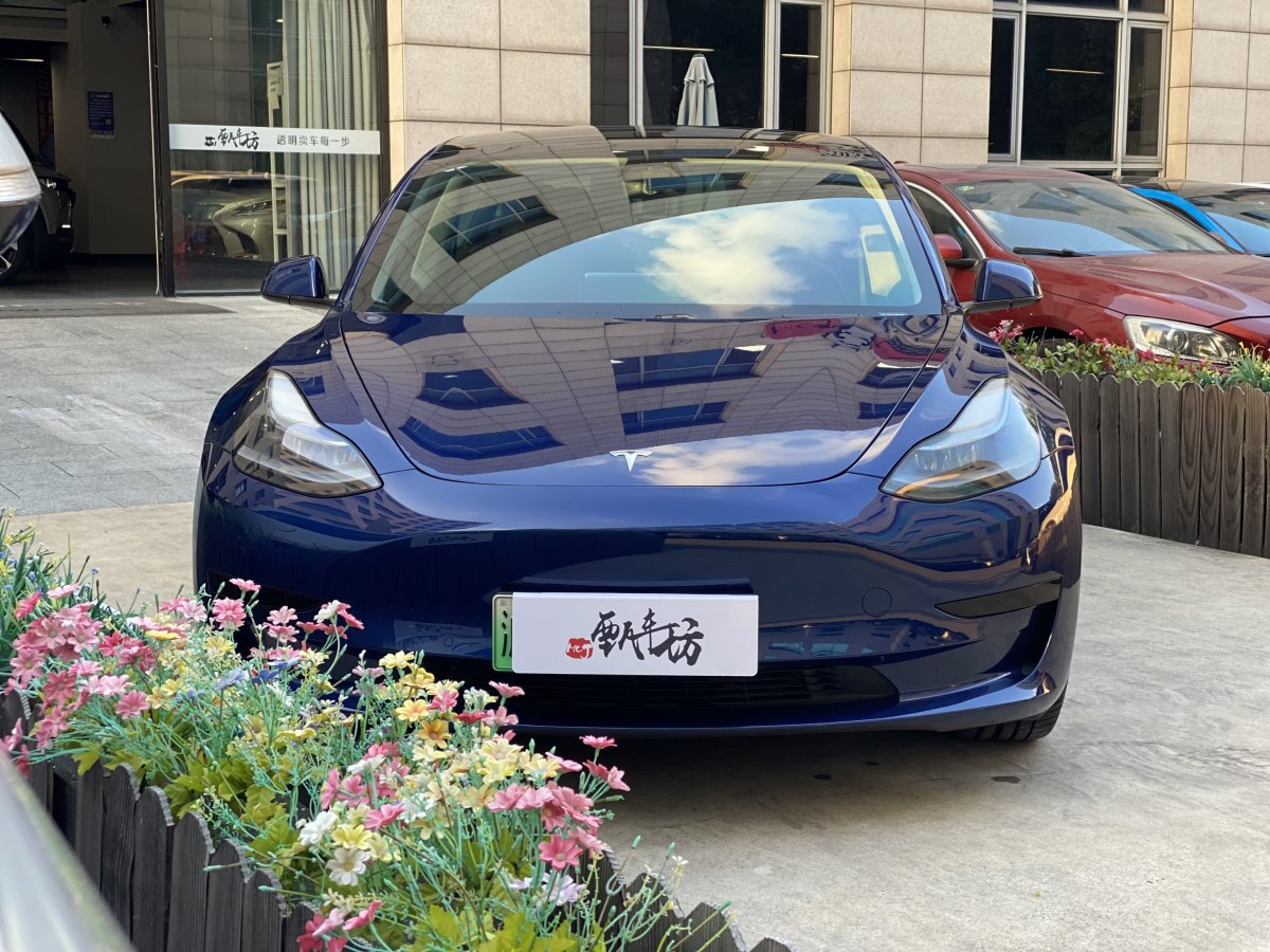 特斯拉 Model 3  2019款 標(biāo)準(zhǔn)續(xù)航后驅(qū)升級版圖片