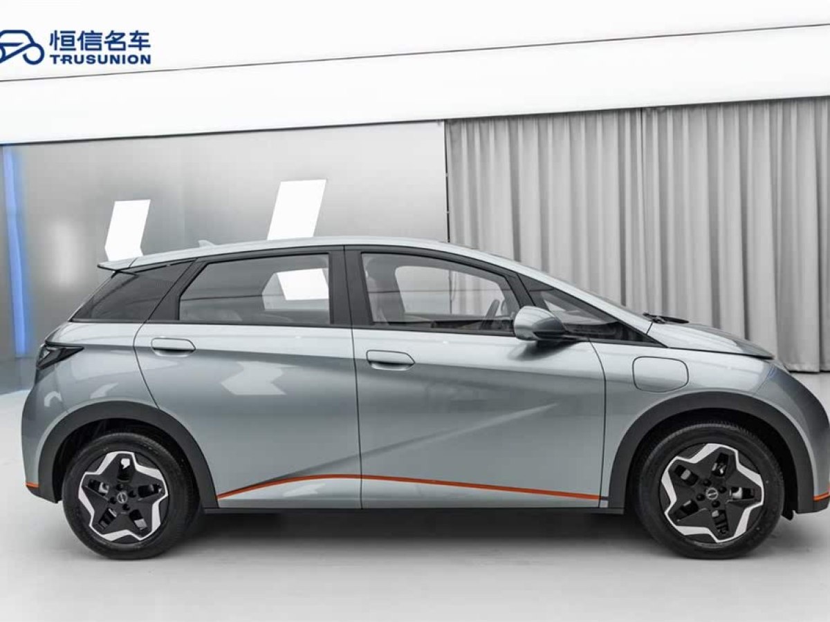 比亞迪 海豚  2021款 405km 時尚版圖片