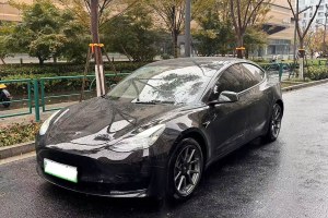 Model 3 特斯拉 后輪驅(qū)動(dòng)版