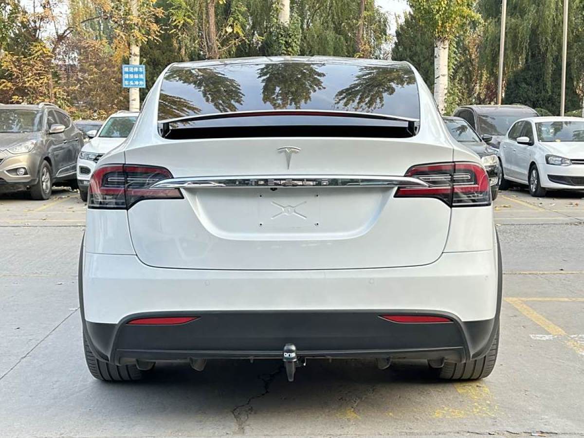 特斯拉 Model X  2019款 標(biāo)準(zhǔn)續(xù)航版圖片