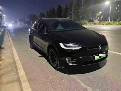 2017年12月 特斯拉 Model X Model X 100D 長續(xù)航版圖片