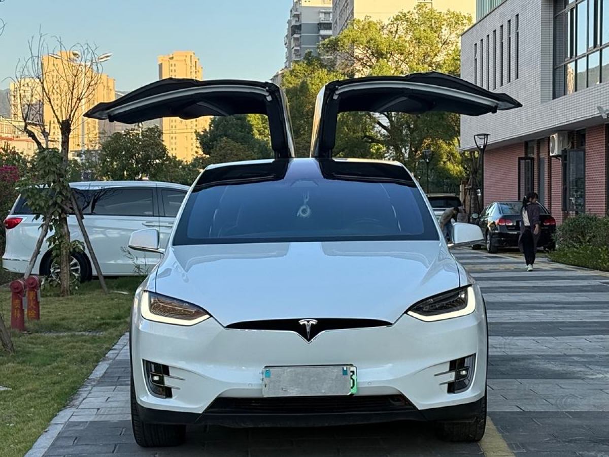 特斯拉 Model X  2019款 Performance 高性能版圖片