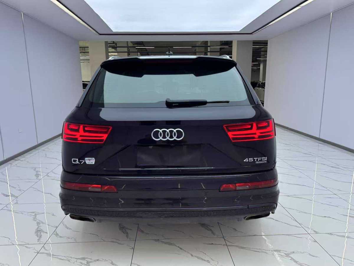 奧迪 奧迪Q7  2018款 45 TFSI 技術(shù)型圖片