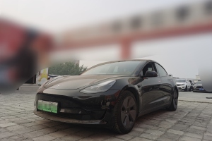 Model 3 特斯拉 标准续航后驱升级版