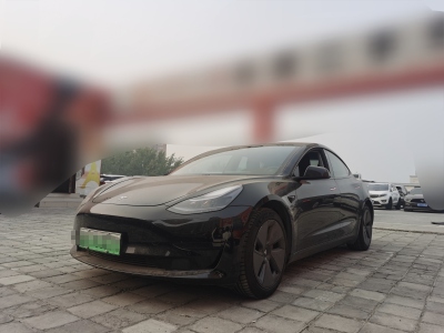 2021年3月 特斯拉 Model 3 標準續(xù)航后驅升級版圖片