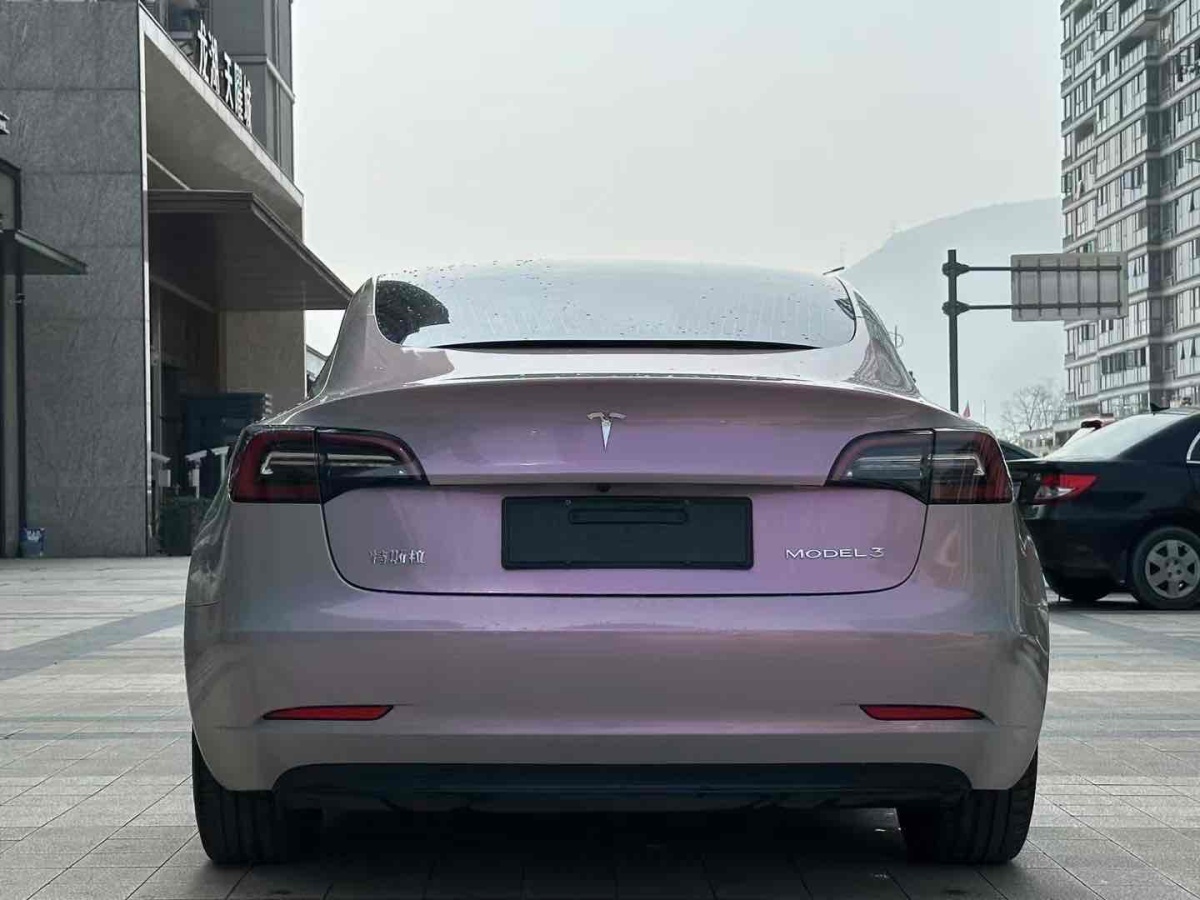 特斯拉 Model 3  2021款 標(biāo)準(zhǔn)續(xù)航后驅(qū)升級版 3D6圖片