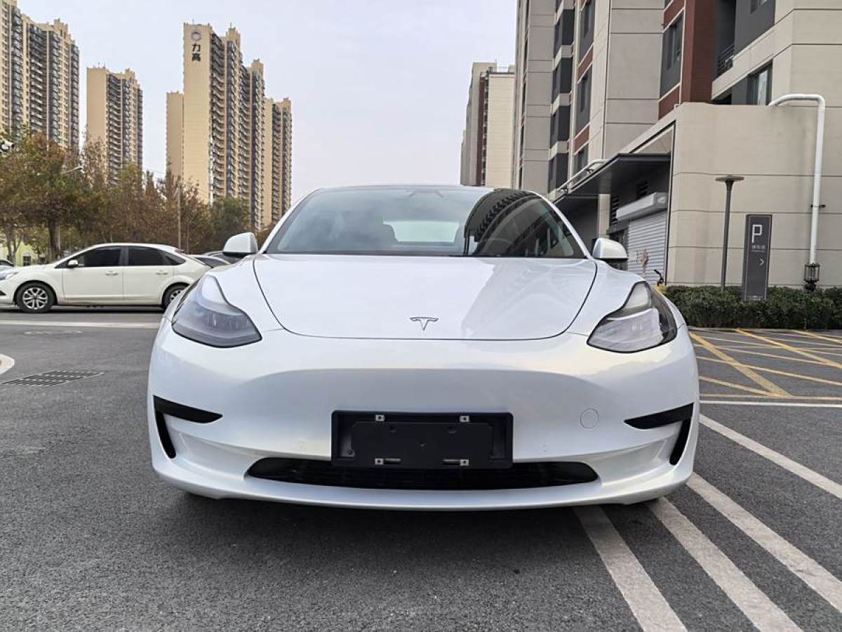 特斯拉 Model 3  2021款 標(biāo)準(zhǔn)續(xù)航后驅(qū)升級版 3D6圖片