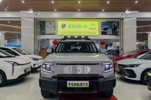 坦克300 坦克 2.0T 三周年限定版