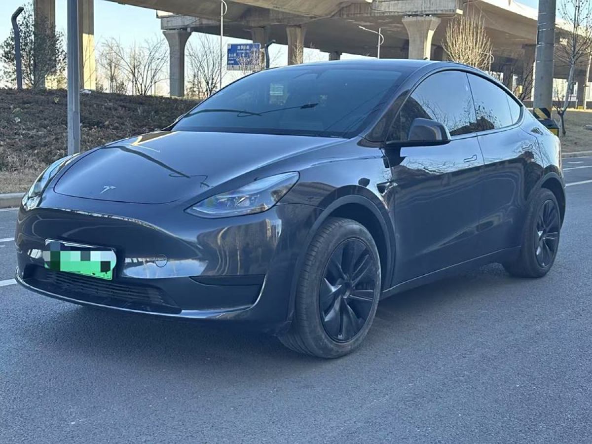 特斯拉 Model 3  2020款 改款 長續(xù)航后輪驅(qū)動版圖片