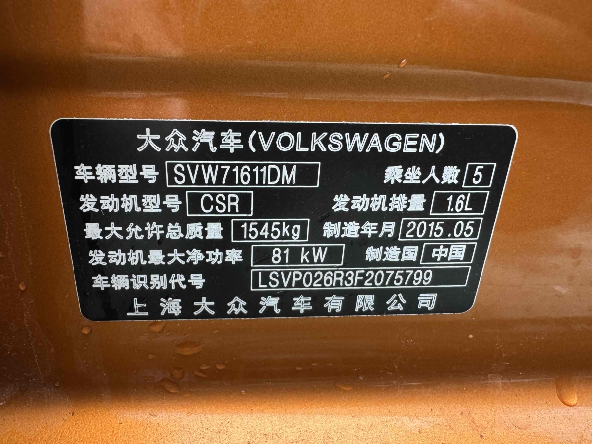 大眾 Polo  2014款 1.6L Cross Polo 自動圖片