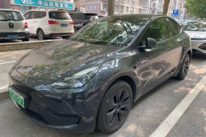 Model Y 特斯拉 后輪驅(qū)動(dòng)版