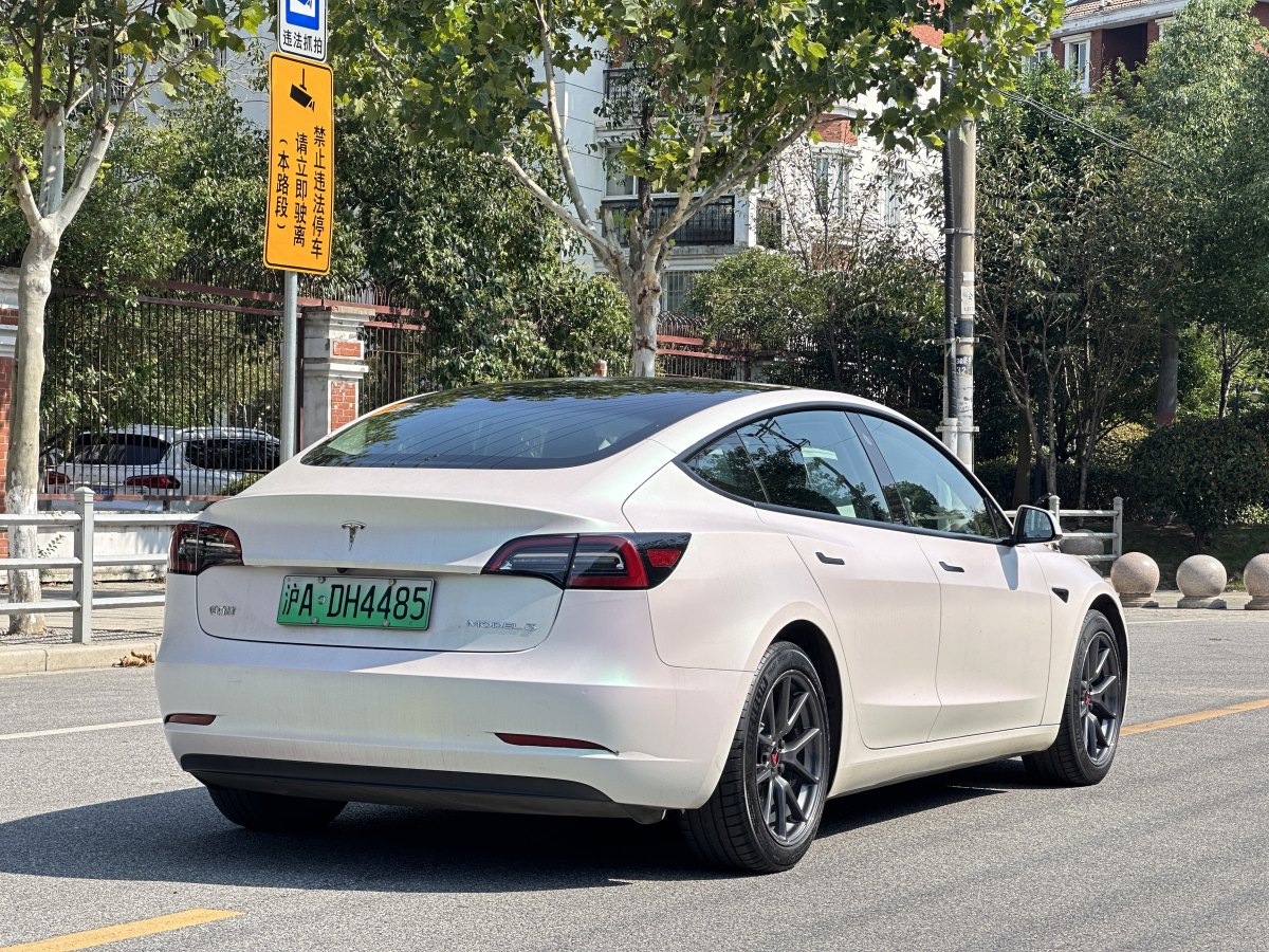 2021年1月特斯拉 Model Y  2021款 標(biāo)準(zhǔn)續(xù)航后驅(qū)升級版 3D6