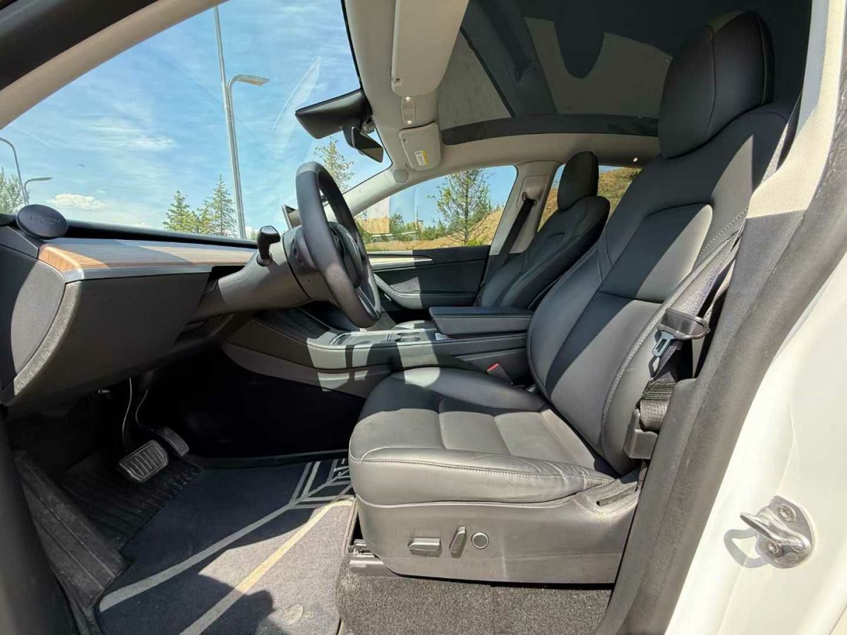 特斯拉 Model S  2021款 Performance 高性能版圖片
