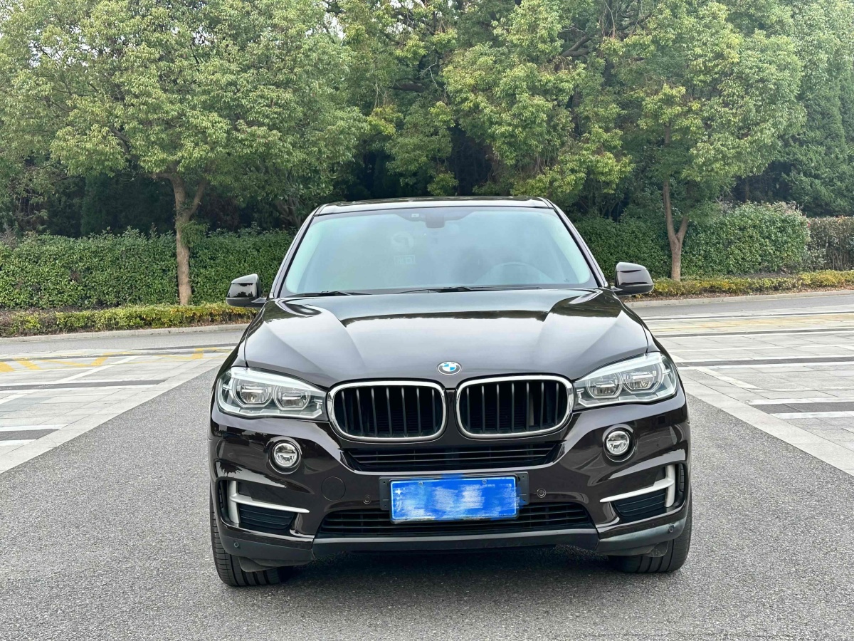 寶馬 寶馬X5  2014款 xDrive35i 典雅型圖片