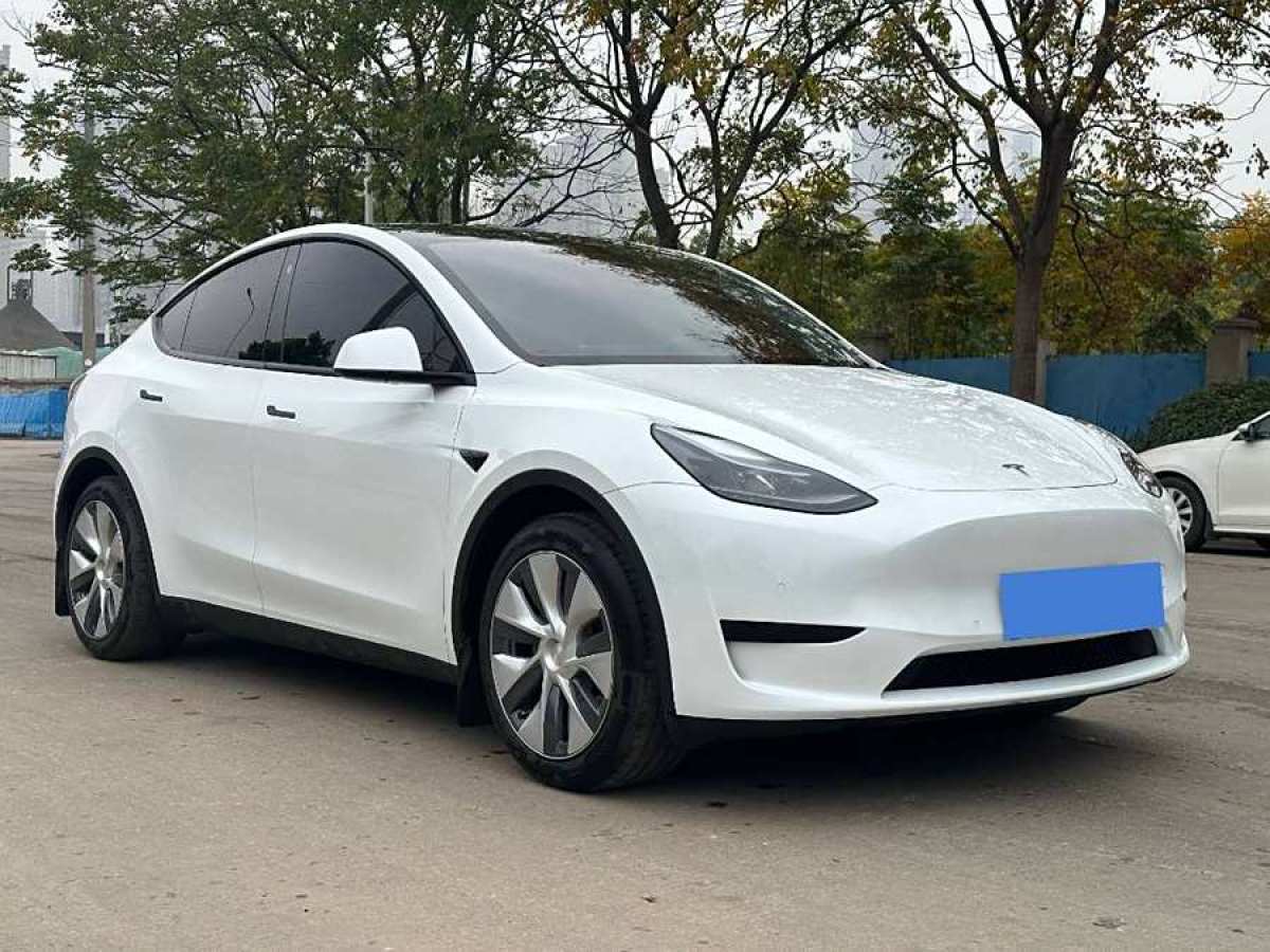 特斯拉 Model 3  2020款 改款 長續(xù)航后輪驅(qū)動版圖片