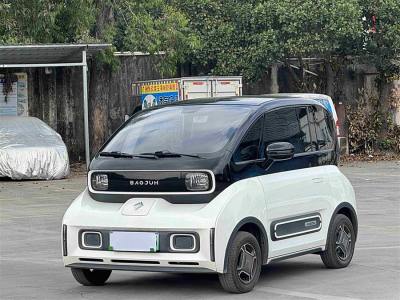 2021年1月 寶駿 寶駿KiWi EV 設(shè)計師 三元鋰圖片