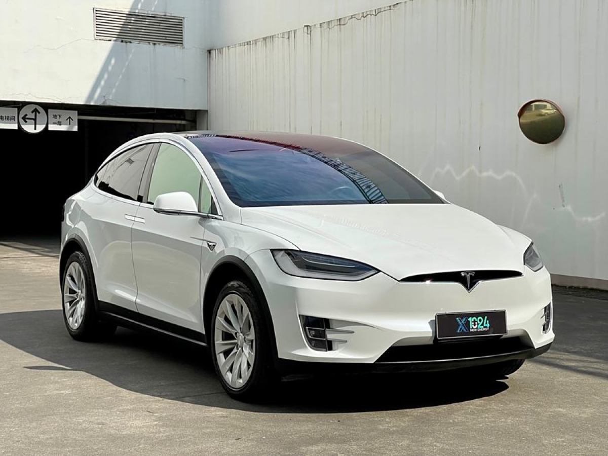 特斯拉 Model X  2019款 長續(xù)航版圖片