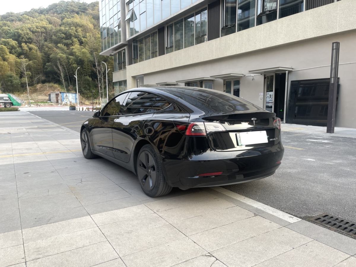 特斯拉 Model 3  2019款 標(biāo)準(zhǔn)續(xù)航后驅(qū)升級(jí)版圖片