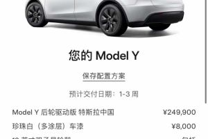 Model 3 特斯拉 Performance高性能版