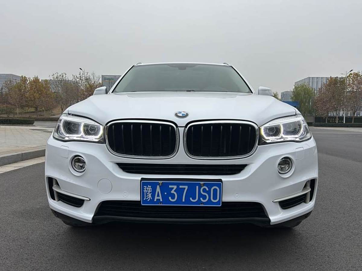 寶馬 寶馬X5  2014款 xDrive35i 領(lǐng)先型圖片