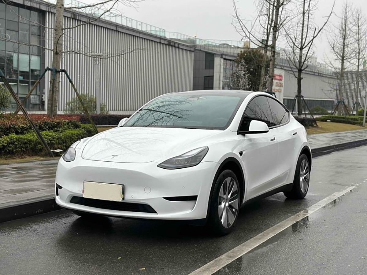 2023年3月特斯拉 Model 3  2020款 改款 長續(xù)航后輪驅(qū)動版