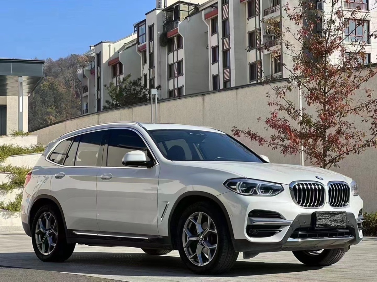 宝马 宝马X3  2020款 xDrive28i M运动套装图片