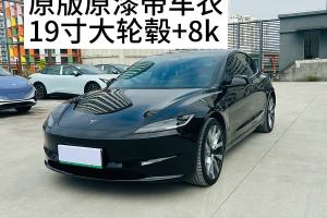 Model Y 特斯拉 长续航全轮驱动版