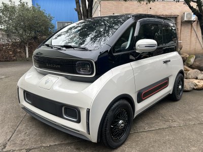 2022年4月 寶駿 寶駿KiWi EV 藝術(shù)家輕享版 三元鋰圖片