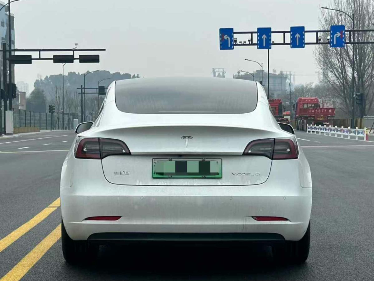 2020年11月特斯拉 Model 3  2020款 標(biāo)準(zhǔn)續(xù)航后驅(qū)升級(jí)版