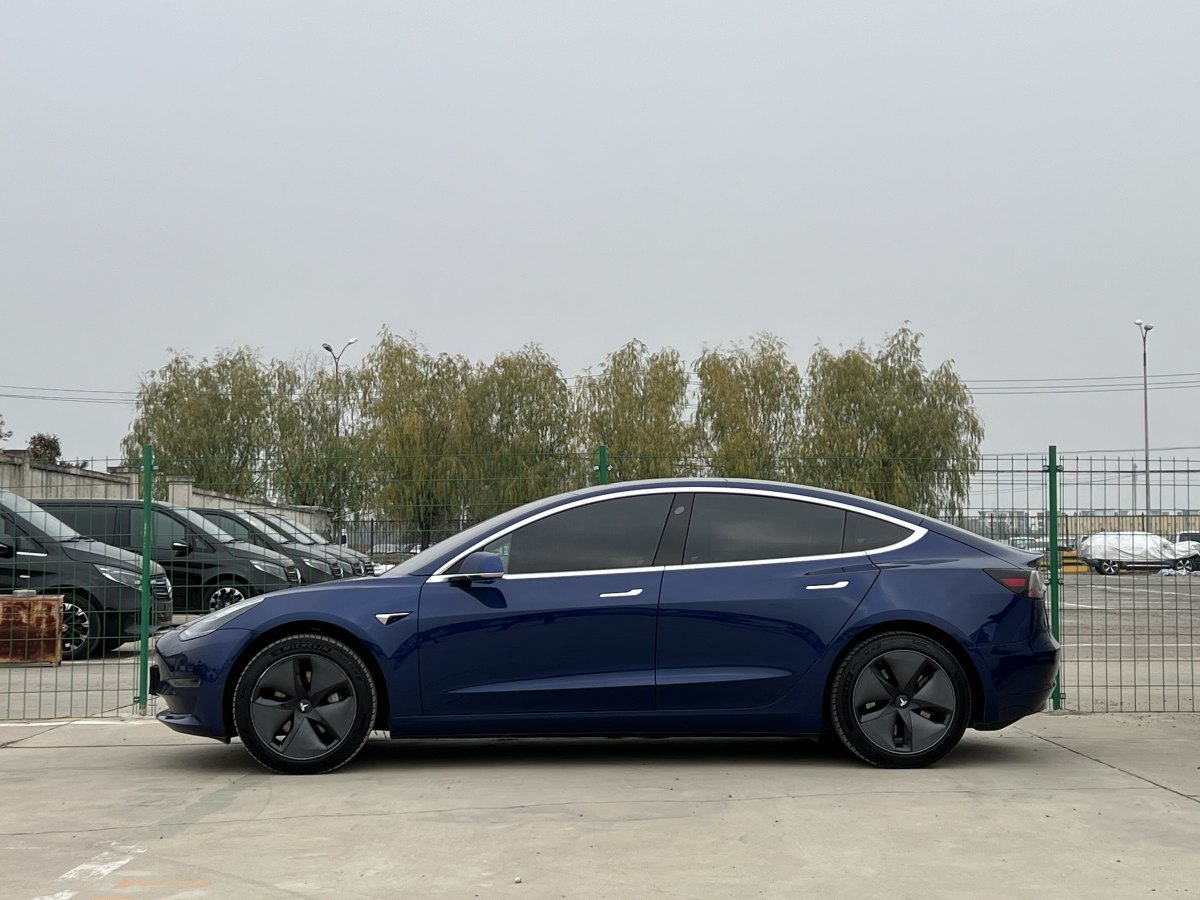 特斯拉 Model 3  2019款 長(zhǎng)續(xù)航后驅(qū)版圖片