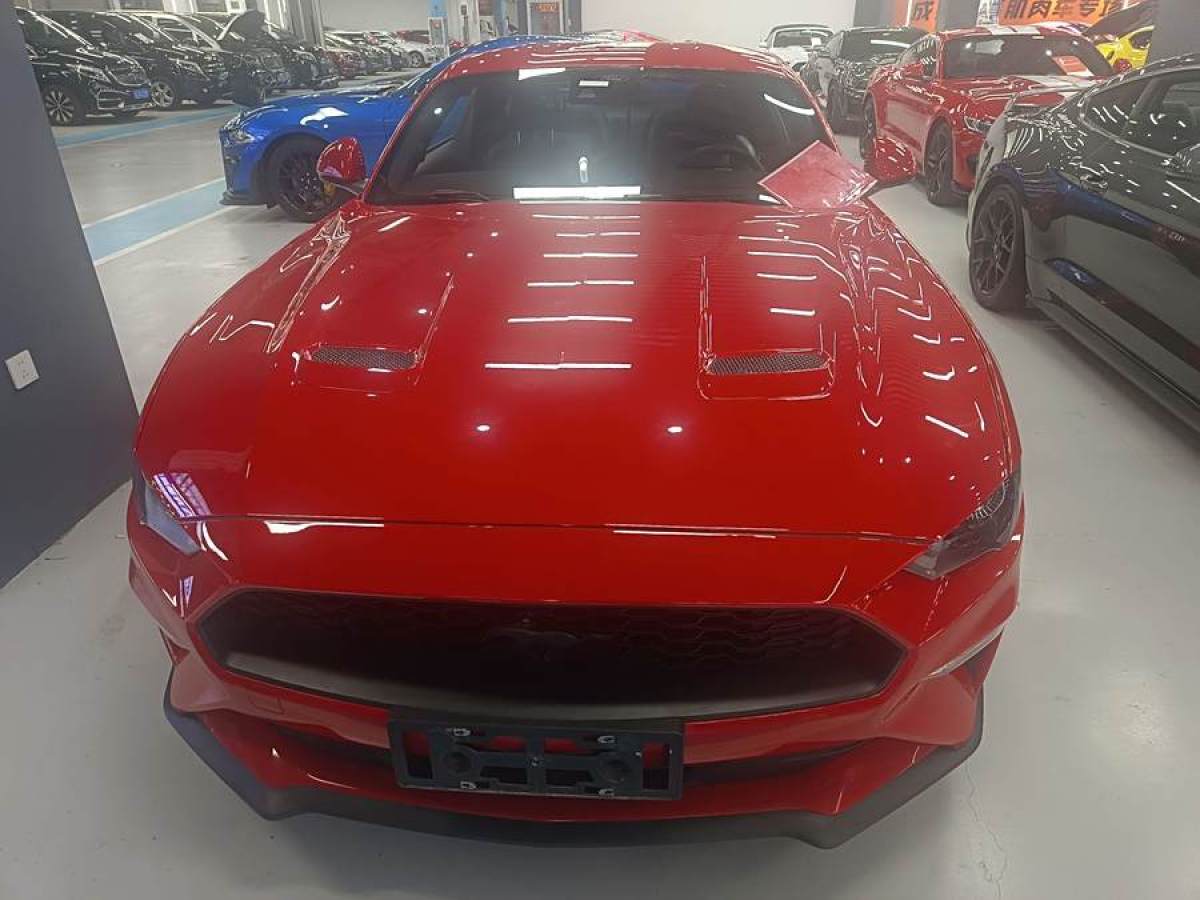 福特 Mustang  2021款 2.3L EcoBoost圖片