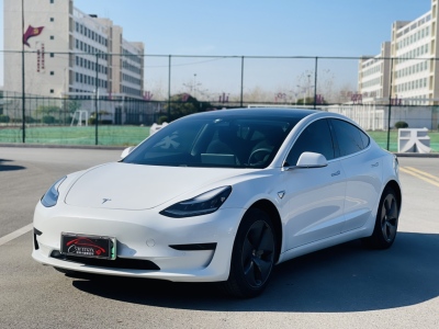 2020年03月 特斯拉 Model 3 標(biāo)準(zhǔn)續(xù)航后驅(qū)升級(jí)版圖片