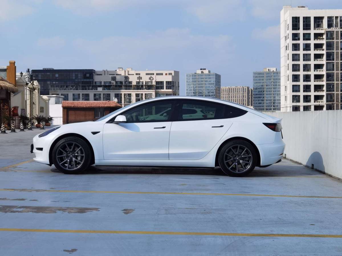 特斯拉 Model 3  2019款 標(biāo)準(zhǔn)續(xù)航后驅(qū)升級(jí)版圖片