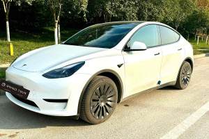 Model 3 特斯拉 改款 长续航后轮驱动版