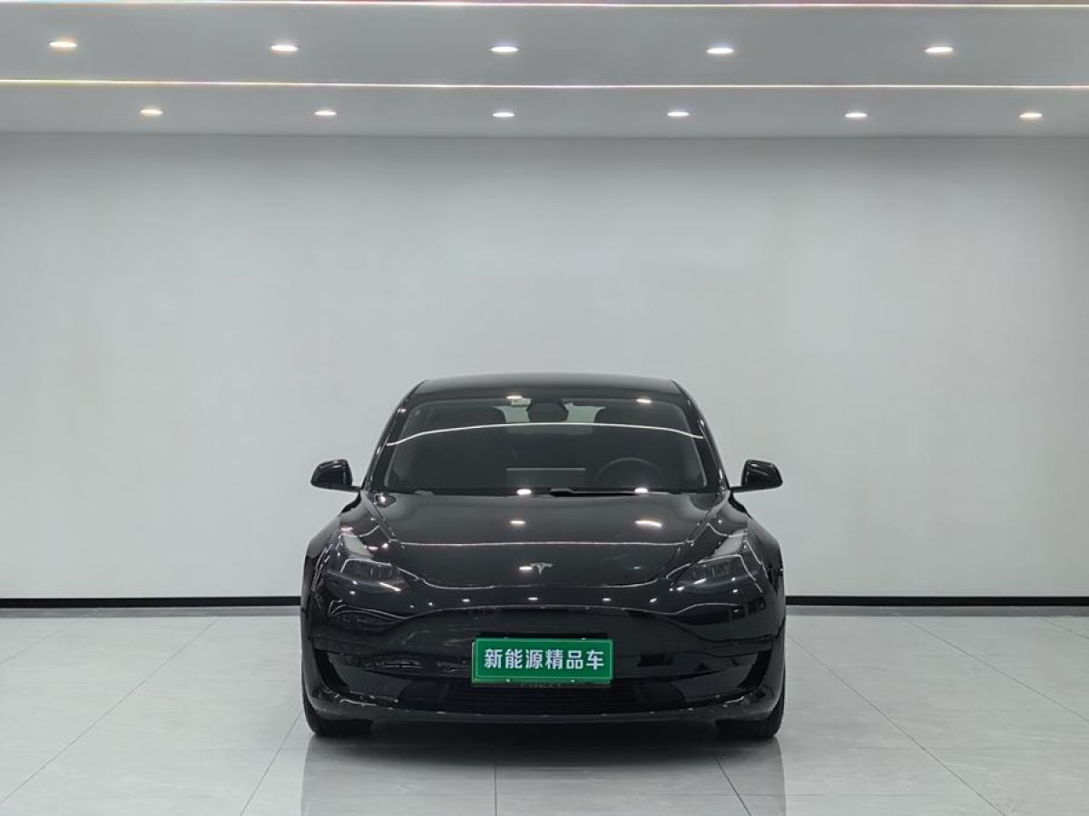 特斯拉 Model 3  2021款 改款 標(biāo)準(zhǔn)續(xù)航后驅(qū)升級(jí)版圖片