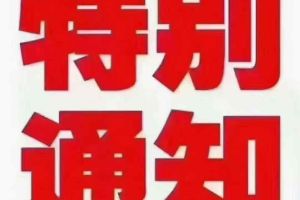 埃爾法 豐田 雙擎 2.5L 尊貴版