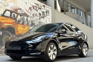Model Y 特斯拉 改款 后輪驅(qū)動(dòng)版