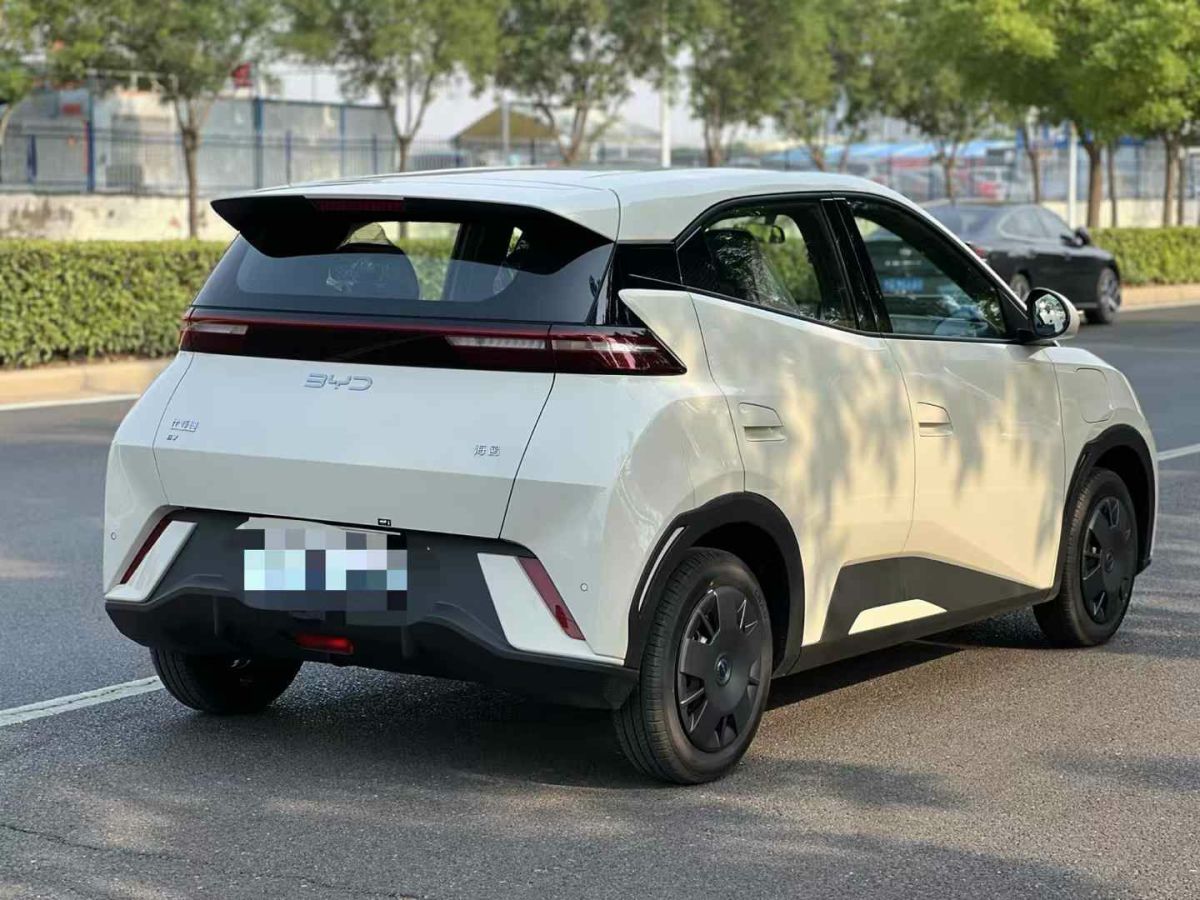 比亞迪 宋Pro新能源  2025款 第二代 智駕版 DM-i 115KM卓越型圖片