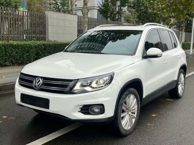 2012年1月 大眾 途歡(進(jìn)口) 2.0 TDI 豪華版圖片