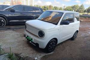 熊猫mini 吉利 200km 耐力熊