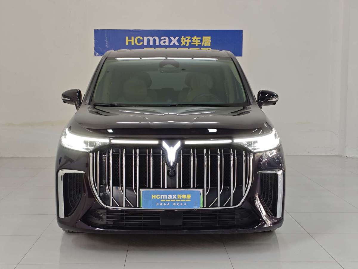 嵐圖 夢(mèng)想家  2024款 PHEV 超長(zhǎng)續(xù)航旗艦版圖片