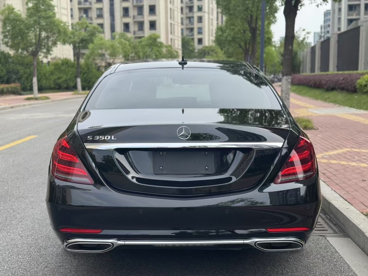 奔馳 奔馳S級  2020款 S 350 L 商務(wù)型 臻藏版圖片