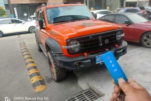 坦克300 坦克 2.0T 坦克游俠