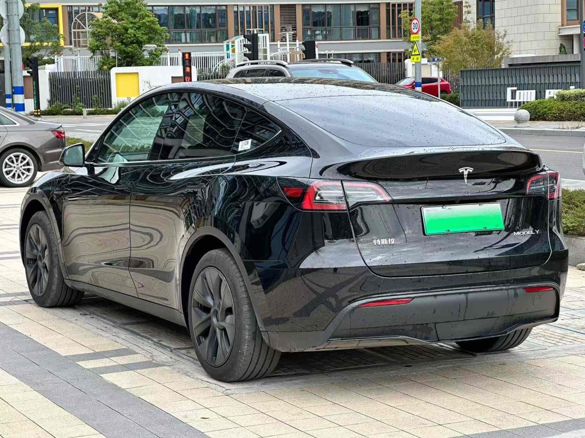 特斯拉 Model Y  2020款 改款 長續(xù)航后輪驅(qū)動版圖片