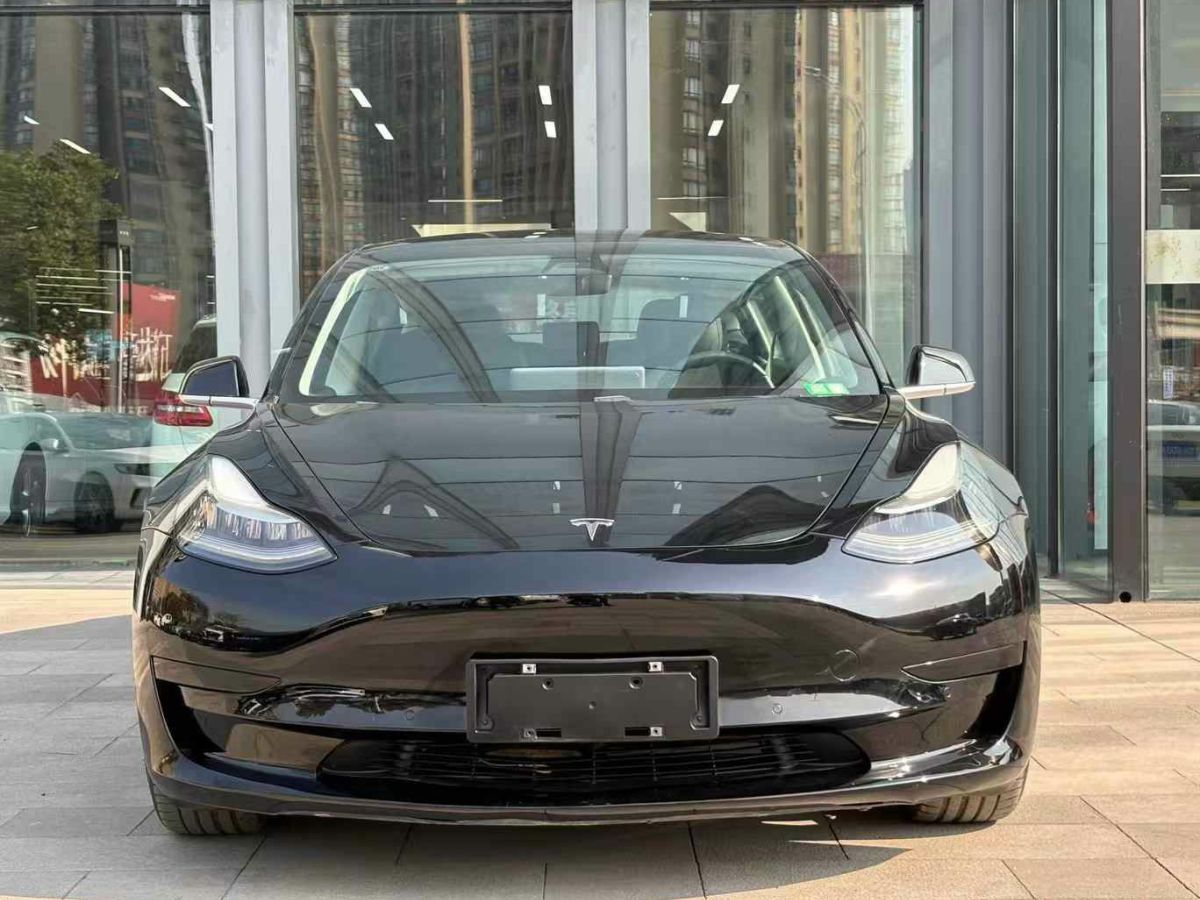 特斯拉 Model 3  2020款 標(biāo)準(zhǔn)續(xù)航后驅(qū)升級(jí)版圖片