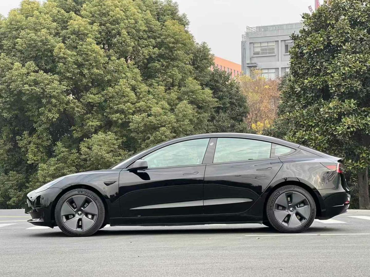 特斯拉 Model Y  2021款 標準續(xù)航后驅版圖片