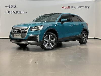 2021年11月 奥迪 Q2L e-tron e-tron 纯电智享型图片