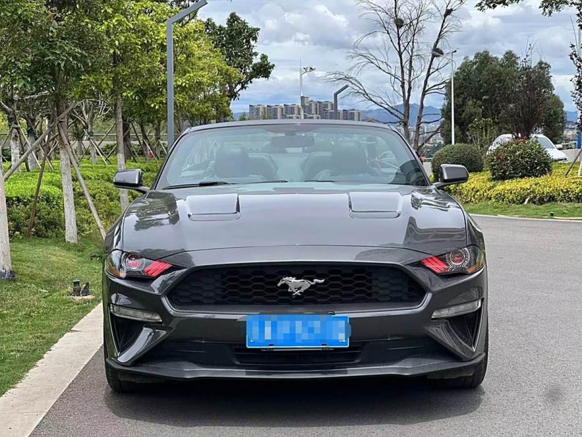 福特 Mustang  2019款 2.3L EcoBoost圖片