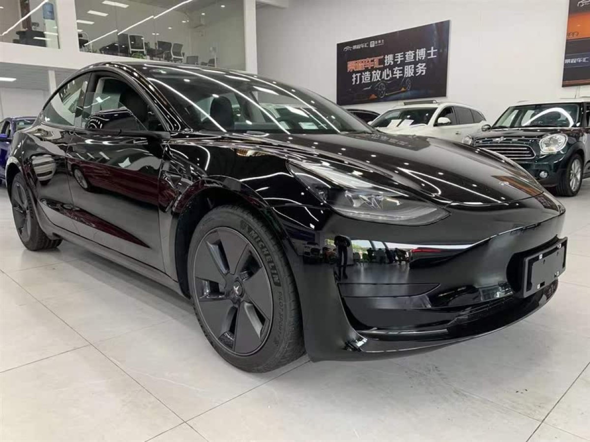 特斯拉 Model 3  2022款 后輪驅(qū)動(dòng)版圖片
