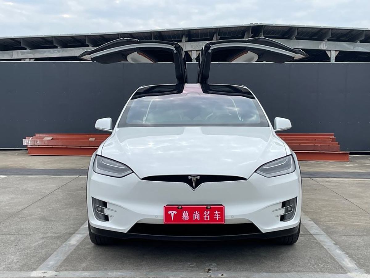 特斯拉 Model X  2019款 長續(xù)航版圖片